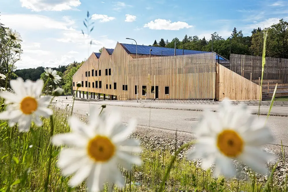 Skapaskolan projekt